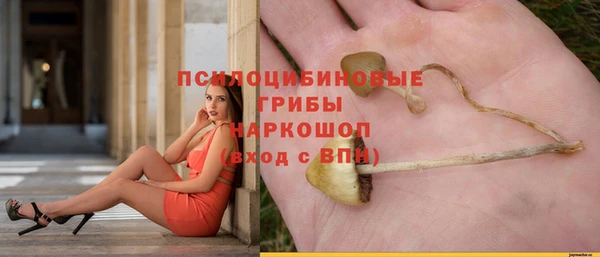 дмт Магас