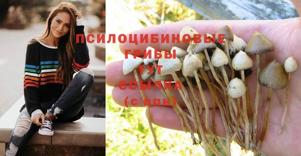 герыч Лихославль