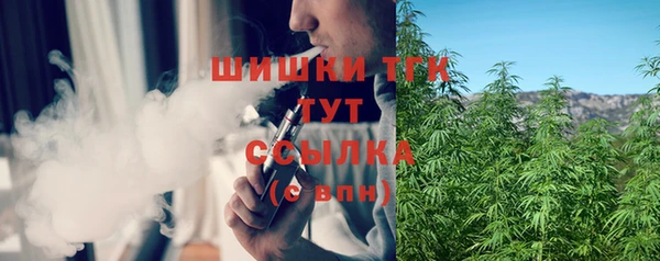 дмт Магас
