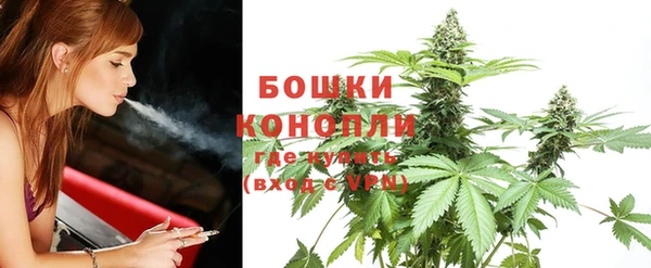 ECSTASY Лиски